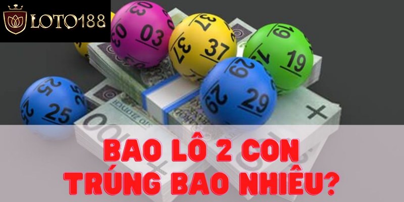 Bạn hiểu gì về bao lô 2 con?