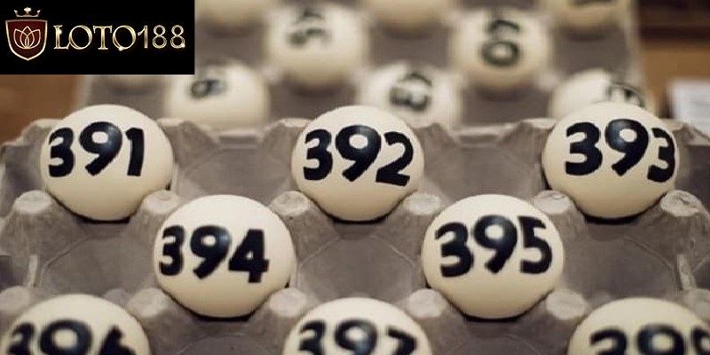 Trả lời về bao lô 3 con là gì?